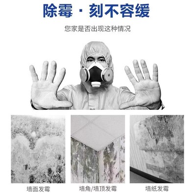 Wall Mold Remover, Anti-Mold Spray for Walls, Effective in R