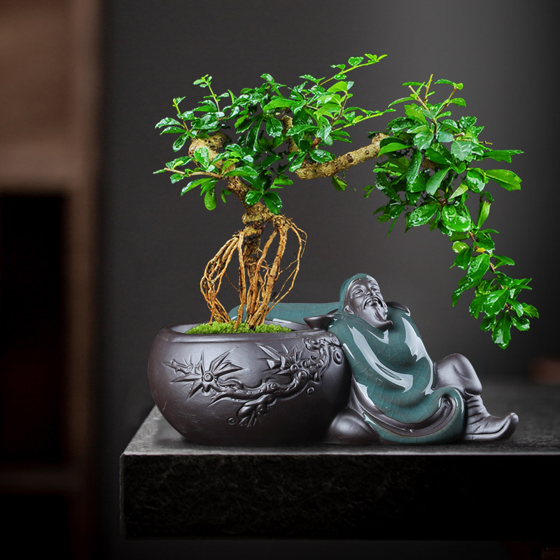 个性紫砂文竹花盆微景观小摆件桌面月季花绿植盆景李白造景花器