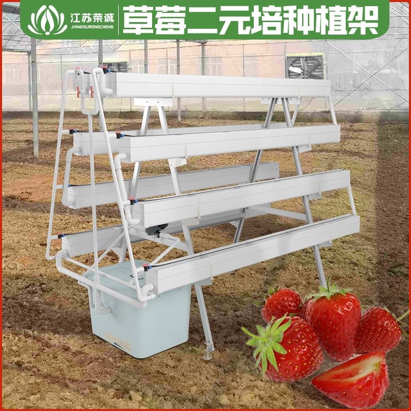 家庭阳台生产无土栽培水培基质培两用二元培草莓种植架A字架红颜