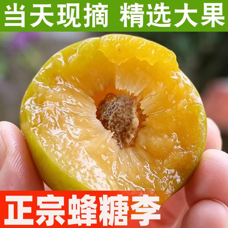 【产地直发】正宗蜂糖李脆甜多汁新鲜应季采摘水果整箱包邮