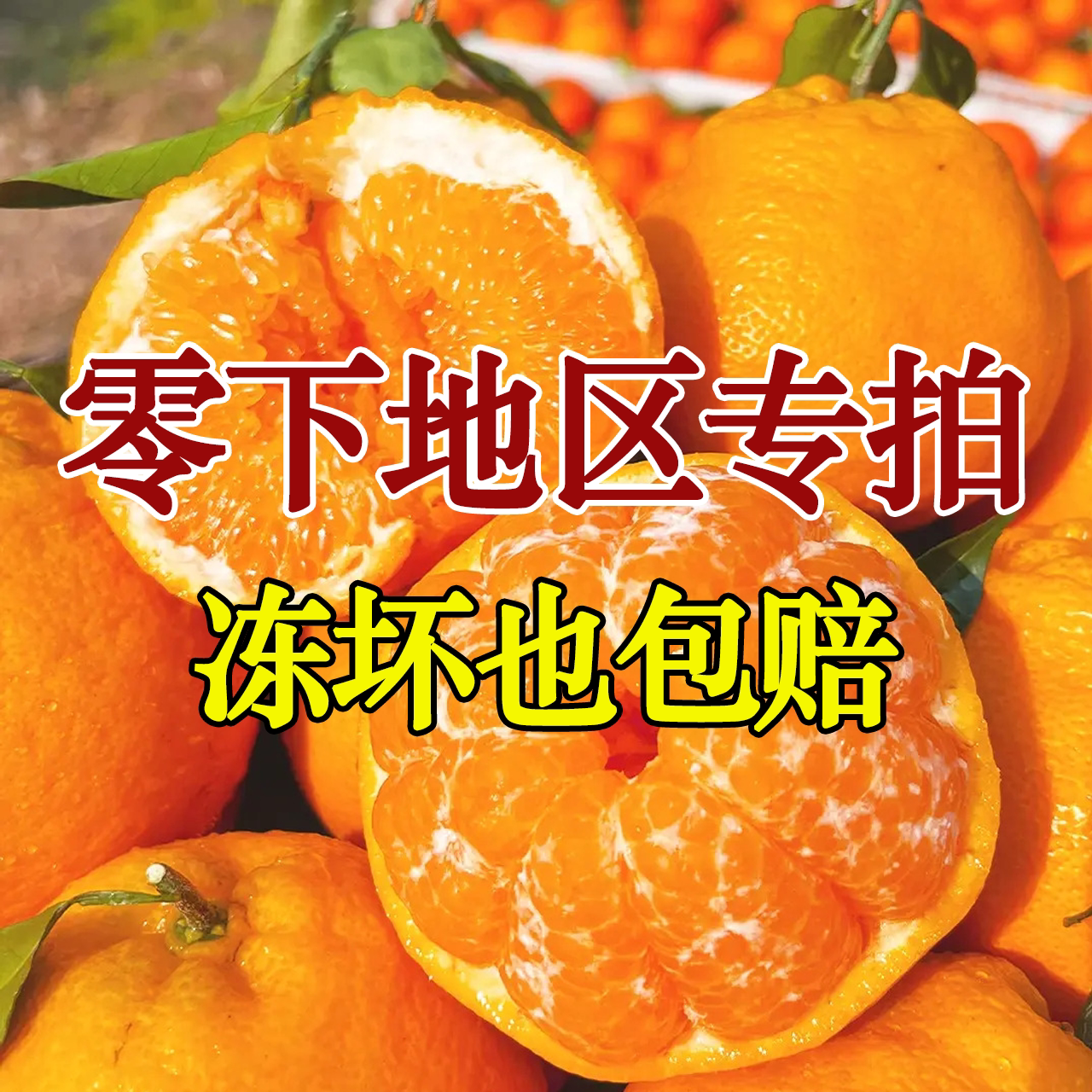 【防冻装零下地区拍】四川眉山春见耙耙柑新鲜应季水果粒粒爆汁