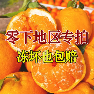 【防冻装零下地区拍】四川眉山春见耙耙柑新鲜应季水果粒粒爆汁