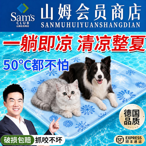 【央ma力荐】宠物冰垫热销第—名