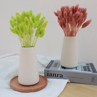 宝石草干花花束真花天然风干美人草永生花diy材料客厅插花瓶装饰