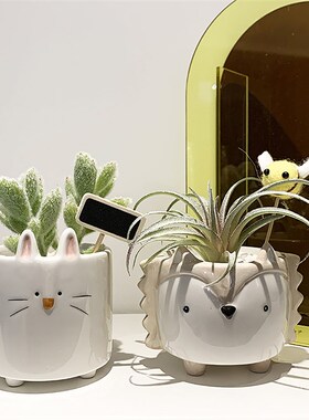 Cute Hedgehog Rabbit Ceramic Flowerpot Succulent Planter