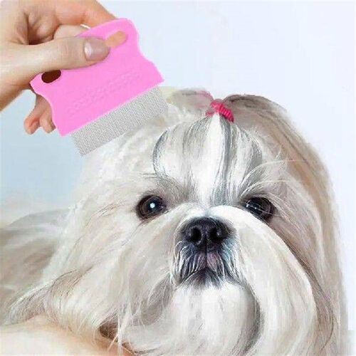 4 Pcs/set Stainless Steel Head Lice Comb Dogs Cats Grooming