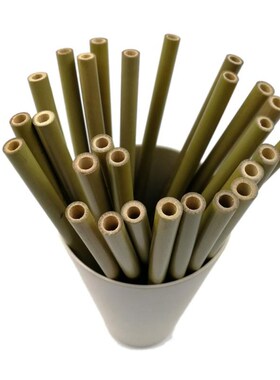 10 Pcs Natural Bamboo Straws Environmentally Friendly Bamboo
