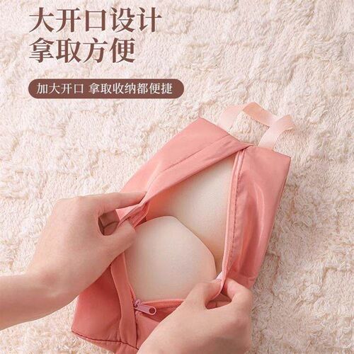 Travel Underwear Storage Bag for Home Use, Bra, Underwear, a