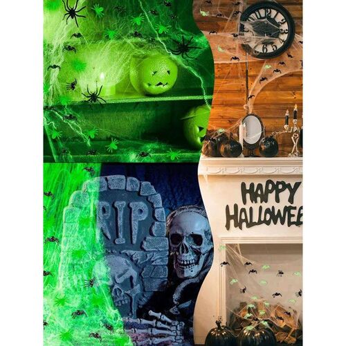 Glow-In-The-Dark Spider Web Set with Spider, Fluorecent Expa