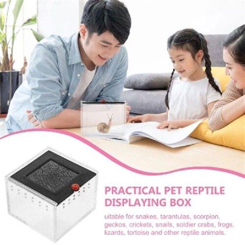 Spider Enclosure Small Insect Breeding Box Prevent Escape