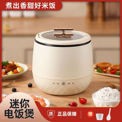 Household Multi-functional Mini Automatic Rice oker Hot Pot