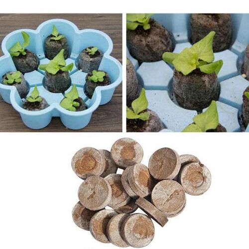 20 Cells Seedling Trays Seed Starter Box Plant Flower Grow