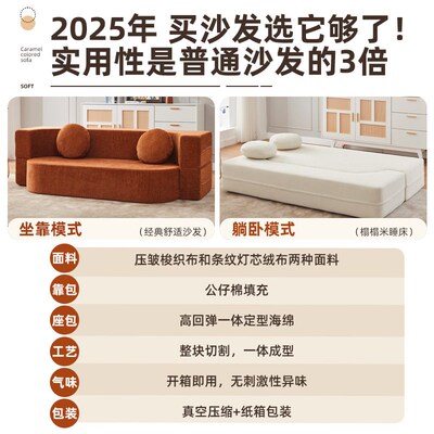 Sofa Living Room Small Apartment Compression Sofa Home Casua