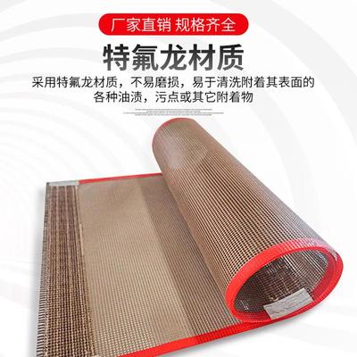 龙特氟龙网带SWS铁氟网格输送机送带高温输送带食品级烘干高温传