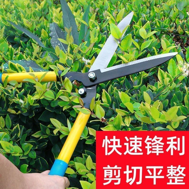 园艺园林剪枝剪刀绿篱修剪专用图片