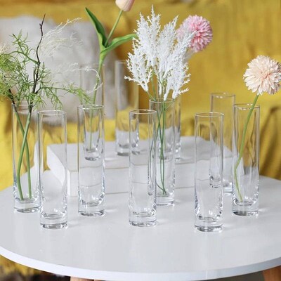 12 Pieces Glass Cylinder Vase, Clear Small Flower Vase, Home