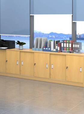 推公拉门柜移门柜躺文门矮柜办公边柜地IXJ柜储柜小件柜办室隔物