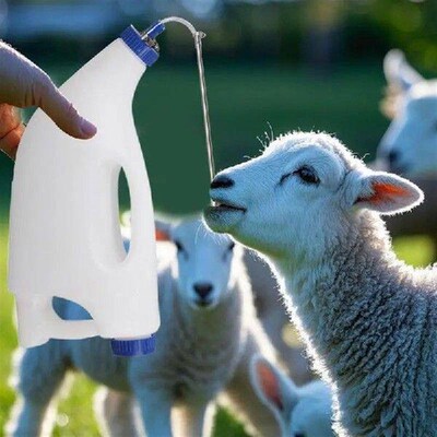 Calf Feeding Bottle 4L Calf Feeder Calf Cow Feeding Tube
