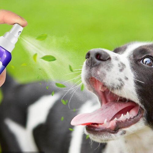 30ml Pet Oral Cleanse Spray Dogs Cats Teeth Clean Deodorant