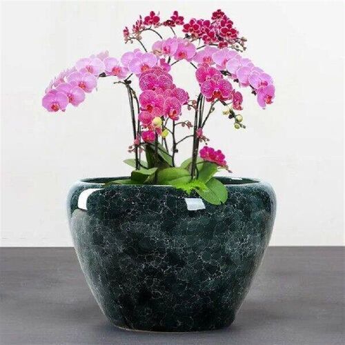 Ceramic Flowerpot Large Circular Opening Planter Pot