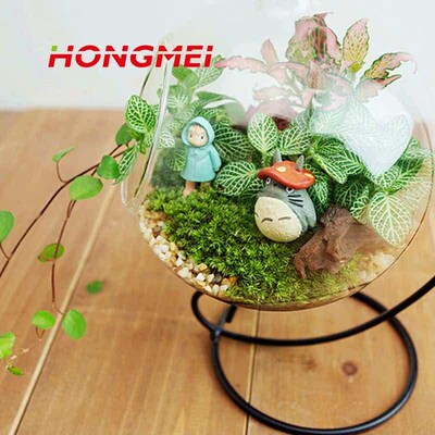 High borosilicate glass DIY transparent micro landscape ecol