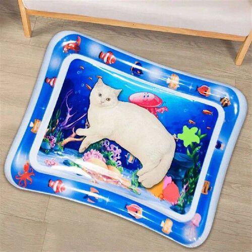 Sensory Water Play Mat with Fish Cat Water Play Mat Tummy