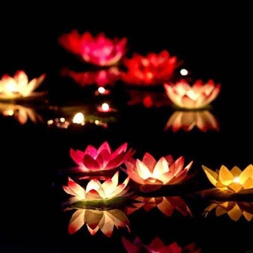 LED Floating Lotus Flower Lamps On Water Swimming Pool