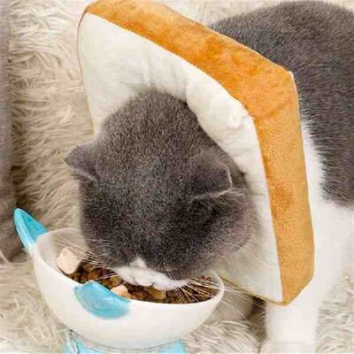 Cats Recovery Collar Toast Shaped Cone Cats Head Leg Wound