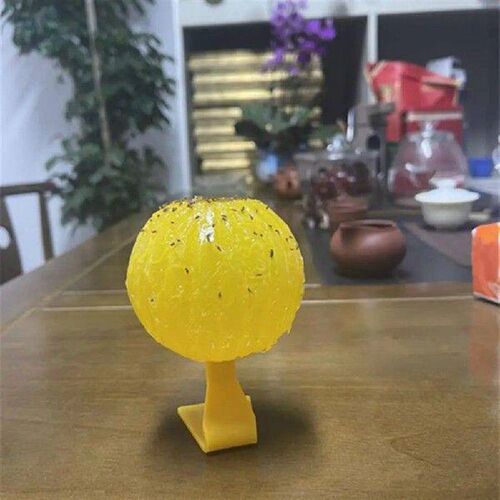 Gnat Trap Tool Effective Indoor Outdoor Sticky Fly Trap