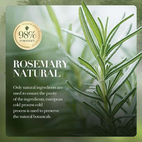 rosemary hair care set shampoo conditioner essencial oil洗护