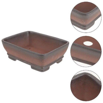 Succulent Stoneware Bonsais Pots for Plants Orchid Planter