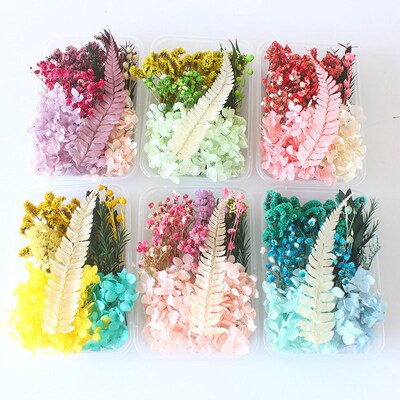 Preserved Flower Diy Dried Flower Material Package Holiday G