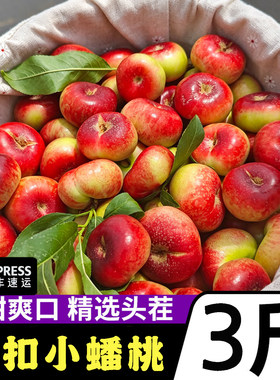 山东蒙阴当季脆甜小油蟠桃