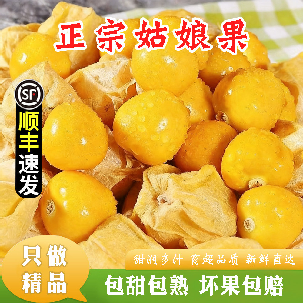 云南姑娘果5斤新鲜现摘灯笼果黄菇娘果特产水果当季整箱混装包邮3