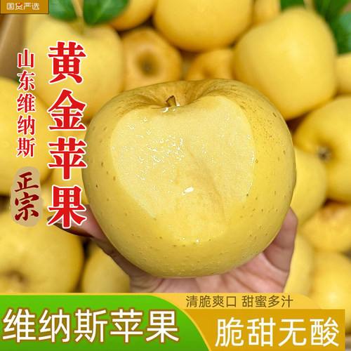 山东维纳斯黄金苹果纯甜奶油富士