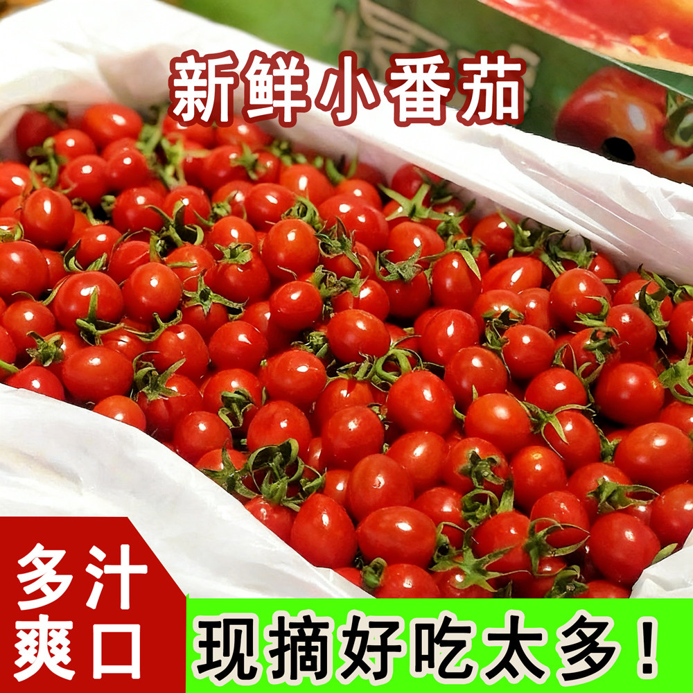 当季现摘自然熟圣女果整箱