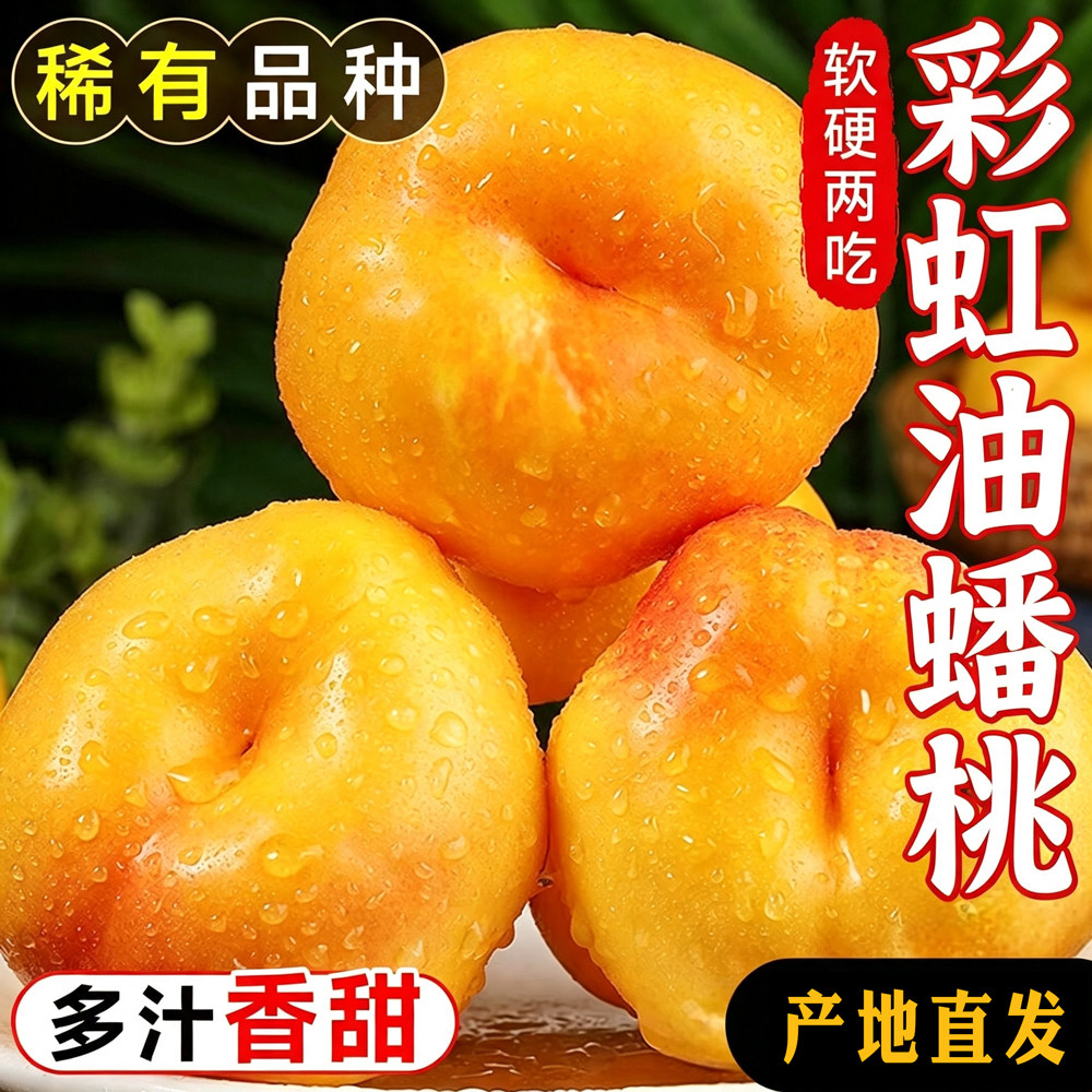 山东油蟠桃产地直发现摘