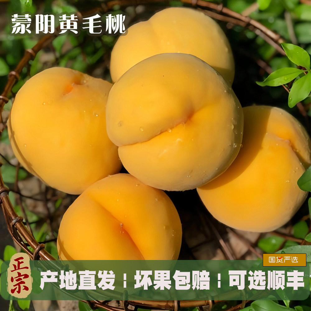 现货蒙阴黄毛桃应季新鲜水果正宗山东黄金桃子锦绣脆桃整箱现摘5