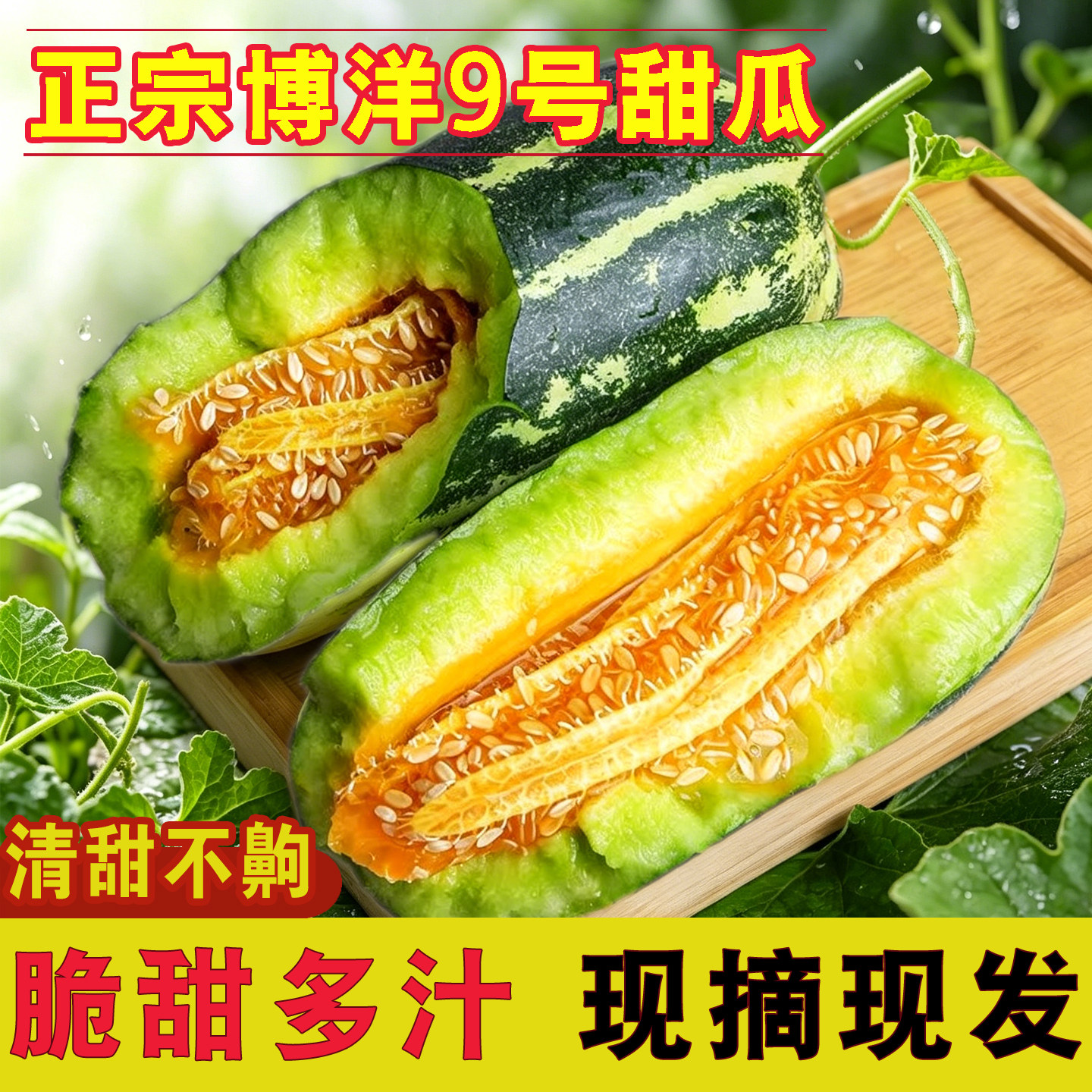 正宗山东博洋9号甜瓜新鲜水果当季蜜瓜脆甜多汁头茬现摘整箱包邮