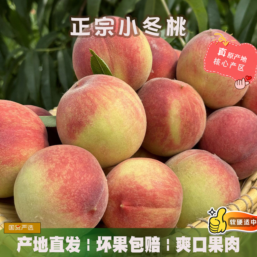 山东沂蒙农家应季新鲜冬桃