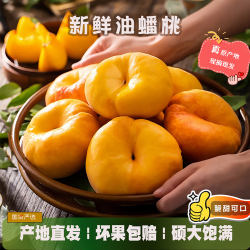 山东油蟠桃产地直发现摘