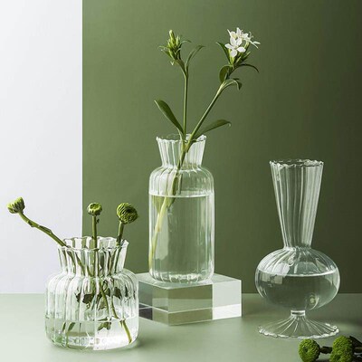 Transparent Glass Vase Home Plants Hydroponic Vase Nordic In