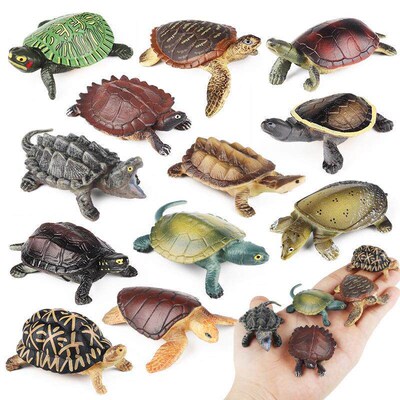 Chldrens cogntve smulaton amphban reptle turtle decoraton C
