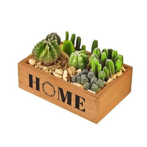 High Quality Creative Flowerpot Rectangle Vintage Succulent