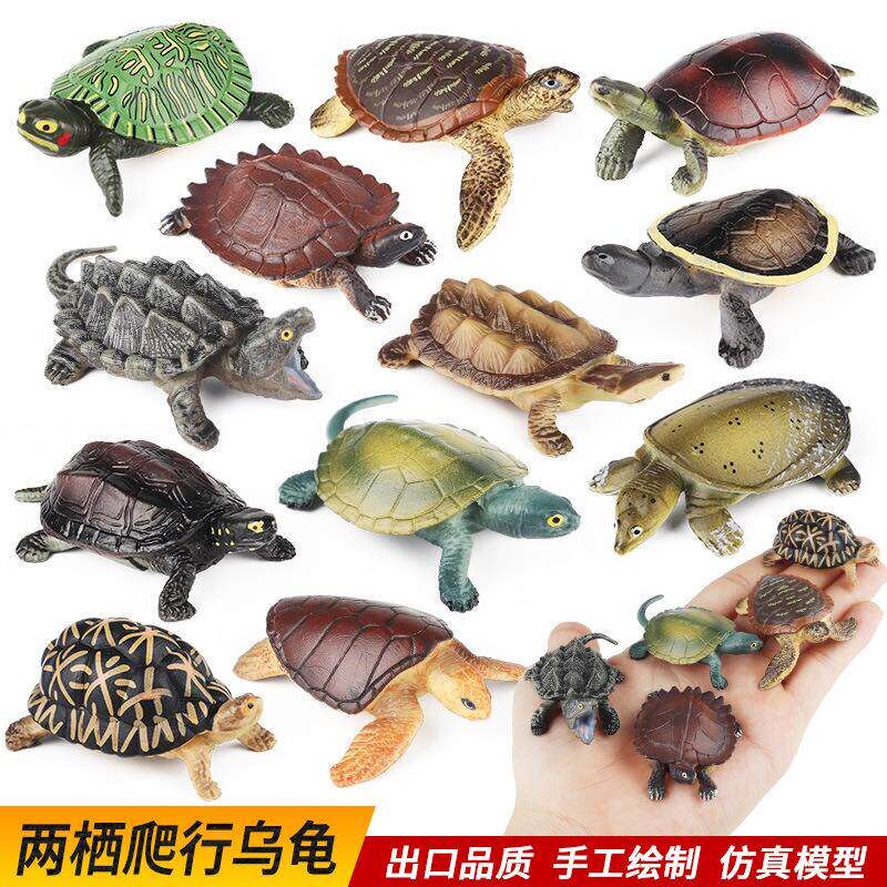 Chldrens cogntve smulaton amphban reptle turtle decoraton C