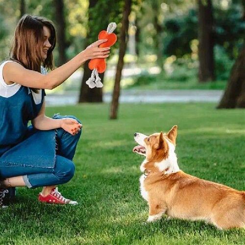 Cotton Pet Pull Toy Puppy Teether Interactive Toy For Pets