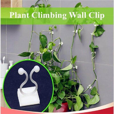 10/20pcs Plant Climbing Wall Clip Invisible Wall Vines