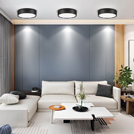 明装筒灯走廊过道灯射灯超薄圆形免开孔入户玄关天花led小吸顶灯