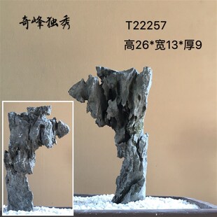 英德盆景附树抱石条文房摆件清供鱼缸造景配景观赏天然原真奇石头