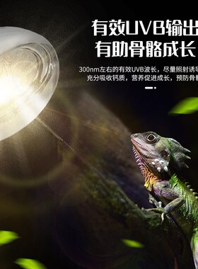 乌龟全光谱晒背灯太阳灯爬宠专用uvb龟灯uva灯补钙灯泡灯架加热灯